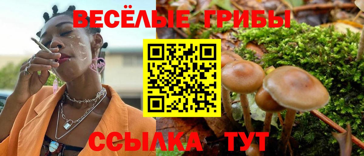 Рубцовск  Псилоцибиновые грибы Cubensis  Вход с VPN  Галлюциногенные грибы Magic Shrooms 